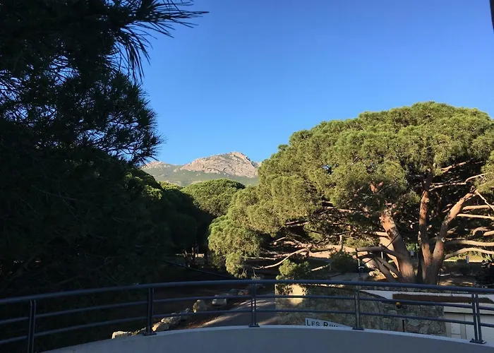 公寓 Les Rivages De 卡尔维