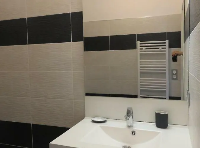 Les Rivages De 公寓 卡尔维